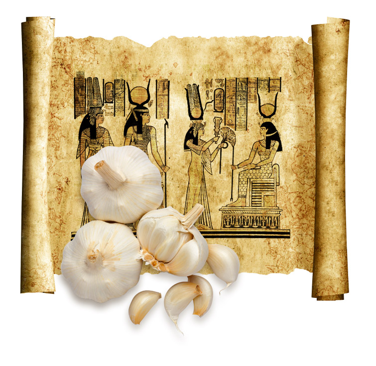 古文書にも見られる、にんにくと健康のかかわり