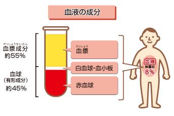血液の流れが止まると脳は５分で死んでしまう！？