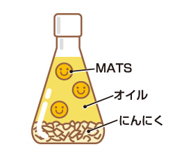 にんにく成分MATSが血栓からあなたの身を守る！
