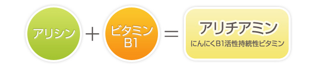 日本人が明らかにした、にんにくの成分と働き