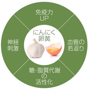 伝統的な「にんにく卵黄」の秘密を科学的に分析