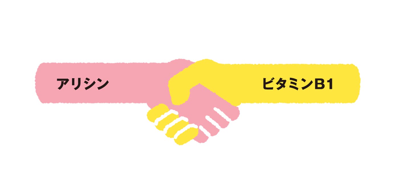 ビタミンB1欠乏症の脚気（かっけ）はにんにくで対策を