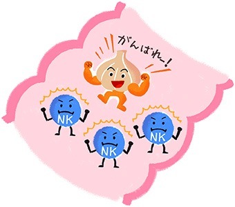 ガン細胞を攻撃するNK細胞をにんにく成分で正常に