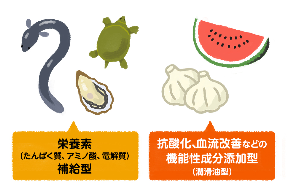 栄養素（たんぱく質、アミノ酸、電解質）補給型／抗酸化、血流改善などの機能性成分添加型（潤滑油型）