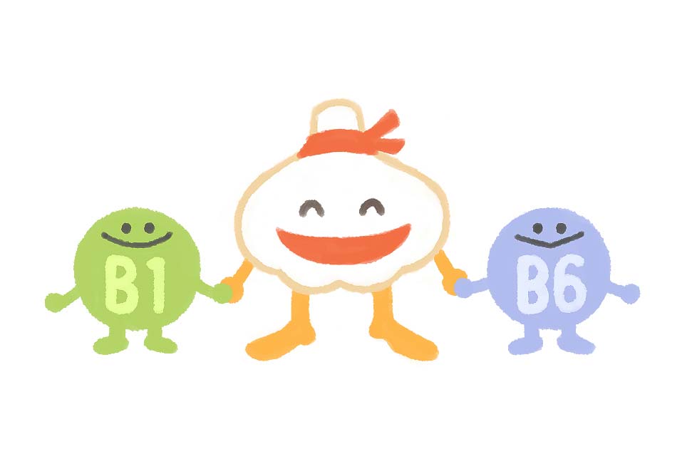 にんにくのアリシンとビタミンB１とを化学的に結びつけると、ビタミンB１を吸収しやすくする