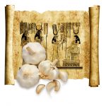 にんにくの歴史