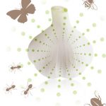 にんにくの成分と作用