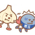 にんにくと血液の関係